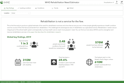 Screenshot of WHO Rehabilitation Need Estimator